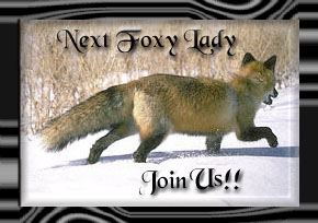 foxnext.jpg (15810 bytes)