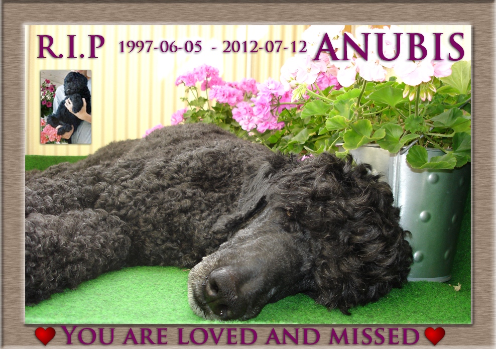 Anubis